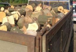 Peste 11 metri cubi de material lemnos fără documente, confiscat la Mihăileni