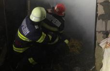 79 de intervenții ale pompierilor botoșăneni, în ultimele patru zile
