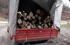 Transport de material lemnos fără aviz de însoțire: 1.000 de lei amendă și confiscarea a peste 1,5 metri cubi de lemn