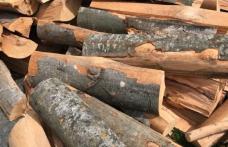 Material lemnos confiscat de polițiștii botoșăneni