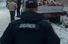 Lemne fără documente de proveniență confiscate de jandarmii botoșăneni - FOTO