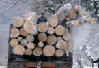 transport ilegal lemne