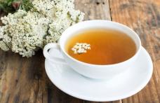 Beneficii pentru sănătate oferite de ceaiul de coada șoricelului