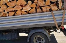 Material lemnos confiscat la Cristești