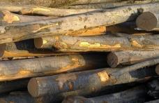 Peste 4 metri cubi de material lemnos confiscat de polițiștii botoșăneni