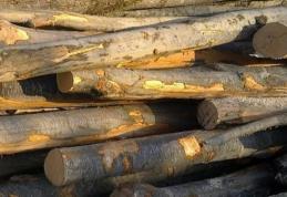 Peste 4 metri cubi de material lemnos confiscat de polițiștii botoșăneni