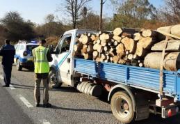 Trafic ilegal cu lemne! Polițiștii dorohoieni au aplicat amenzi și au confiscat material lemnos