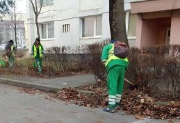 Primaria Dorohoi începe campania de curățenie în tot orașul în cadrul „LUNII CURĂȚENIEI”
