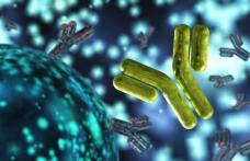 O nouă superbacterie pune în alertă lumea întreagă