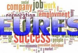AJOFM Botoșani: 283 de locuri de muncă vacante în Uniunea Europeană