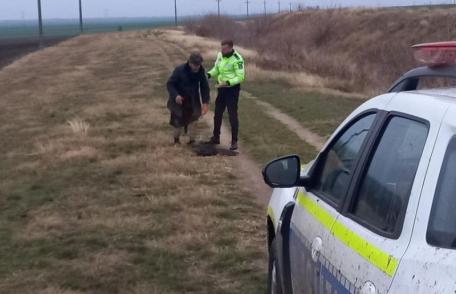 Bărbat rătăcit pe câmp, găsit de polițiștii din Dorohoi 