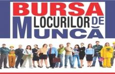AJOFM Botoșani organizează o nouă ediție a „Bursei generale a locurilor de muncă”