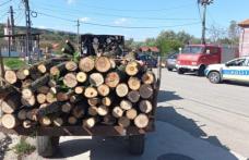 Material lemnos confiscat și amendă pentru transport ilegal de lemne
