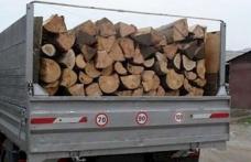 2 metri cubi de material lemnos confiscat și amendă de 2000 lei aplicată unui bărbat
