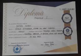 Premiul I, obținut de un elev de la Școala Gimnazialǎ Ibǎnești, la concursul național „Ia atitudine, spune stop violenței!’’