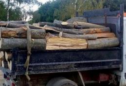 Amendă și material lemnos confiscat pentru lipsa documentelor la Șendriceni