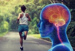 Beneficii pe care sportul le are asupra creierului