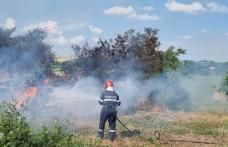 Peste 200 de baloți de paie s-au făcut scrum într-un incendiu provocat cu intenție - FOTO