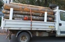 Material lemnos confiscat la nivelul județului Botoșani, în cadrul acțiunii „Scutul Pădurii”