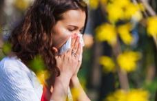 Remedii naturale pentru alergii de sezon