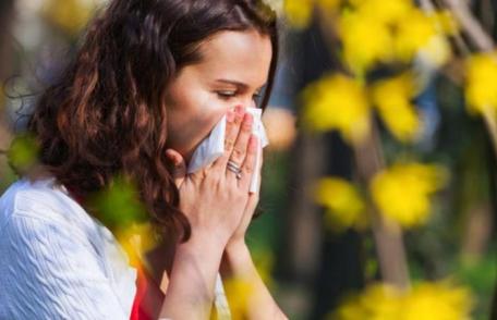 Remedii naturale pentru alergii de sezon