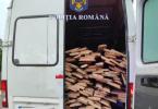 Bucecea- material lemnos confiscat