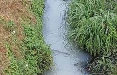 Primim la redacție – Poluare pe râul Jijia! Apa și-a schimbat culoarea și are un miros neplăcut - FOTO