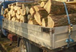 Transport de lemn fără acte oprite de polițiști la Hilișeu Horia