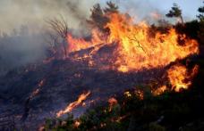79 de persoane au fost arestate în Grecia pentru că ar fi declanșat intenționat incendiile