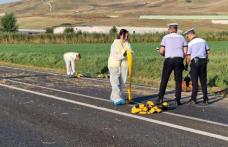 Trei tineri uciși, în județul Alba, de un șofer de 19 ani beat 