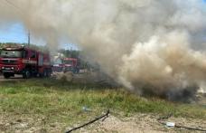 Aproximativ 20 de tone de furaje au ars într-o gospodărie din Stăuceni - FOTO