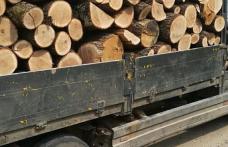 Un bărbat din Ștefănești s-a ales cu amendă și cu materialul lemnos confiscat