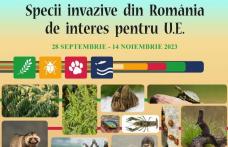 Muzeul de Științele Naturii Dorohoi gazda expoziției „Specii invazive din România de interes pentru Uniunea Europeană”