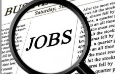 AJOFM Botoșani: Vezi locurile de muncă vacante în Uniunea Europeană