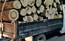 Polițiștii au sancționat un sucevean care transporta trei metri cubi de lemn fără a deține documente legale