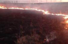 Aproape cinci hectare de vegetație uscată au ars din cauza unui foc lăsat nesupravegheat