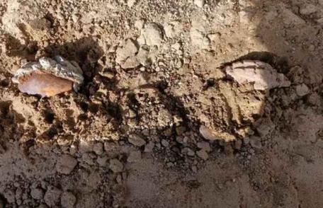 Muniție descoperită pe raza județului Botoșani, distrusă de specialiști