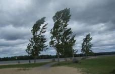 Atenționare de Cod Galben de intensificări ale vântului pentru județul Botoșani