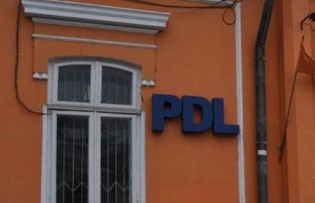 PDL a stabilit candidaţii pentru alegerile viitoare