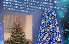 Activități specifice Crăciunului la Muzeul „Ștefan Luchian” Ștefănești