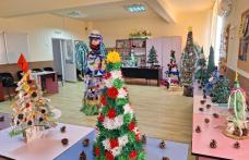 Proiect educațional „Bradul de Crăciun”, organizat la Școala Profesională Specială „Ion Pillat” Dorohoi – FOTO
