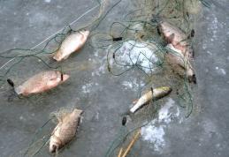 Dosar penal pentru braconaj piscicol pe râul Prut