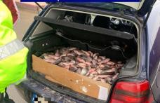 Sute de kilograme de pește, improprii pentru consum, confiscate de polițiști