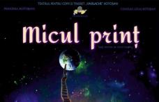 „Micul Prinț” – Primul spectacol din anul 2024 la Teatrul „Vasilache” Botoșani