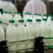 Societate comercială angajează șofer transport lapte și produse lactate