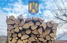 Material lemnos fără documente depistat la Dorohoi și Bucecea