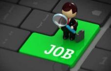 Locurile de muncă vacante în această săptămână la nivelul județului Botoșani