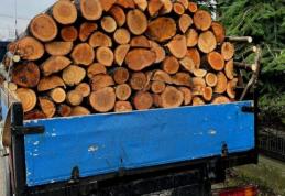Material lemnos fără documente legale confiscat în Lozna