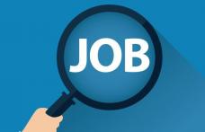 AJOFM: Peste 400 de locuri de muncă disponibile în județul Botoșani. Vezi lista joburilor neocupate!