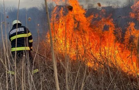 Un bărbat din Mlenăuți a primit o amendă imensă pentru arderea resturilor vegetale. Vezi ce prevede legea în astfel de cazuri!
